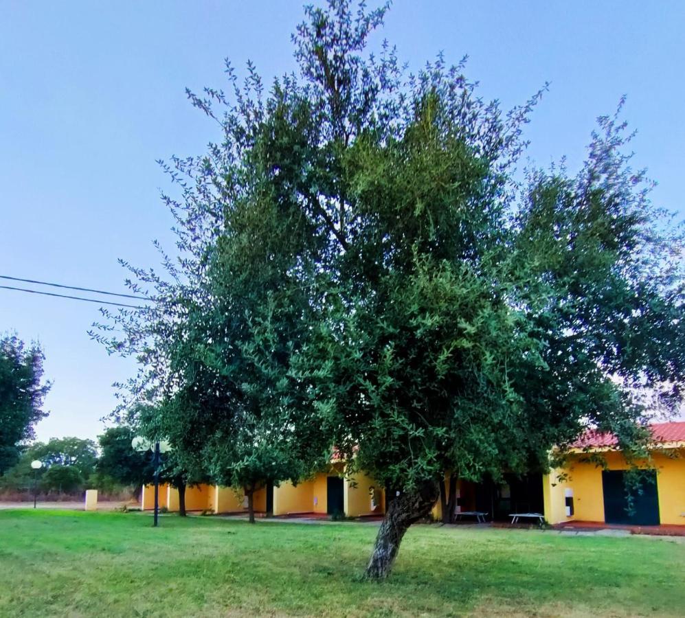 Nuraghe Ruiu Camping & Bungalow Norbello Buitenkant foto