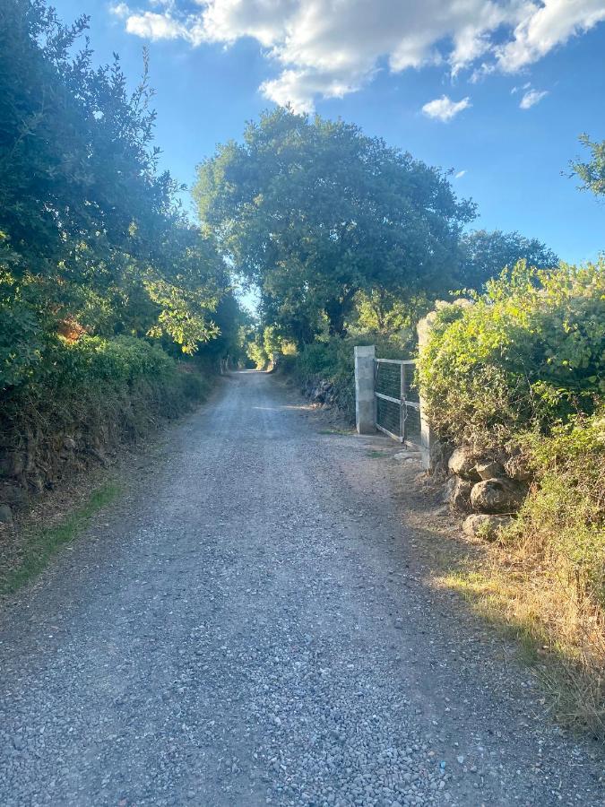 Nuraghe Ruiu Camping & Bungalow Norbello Buitenkant foto