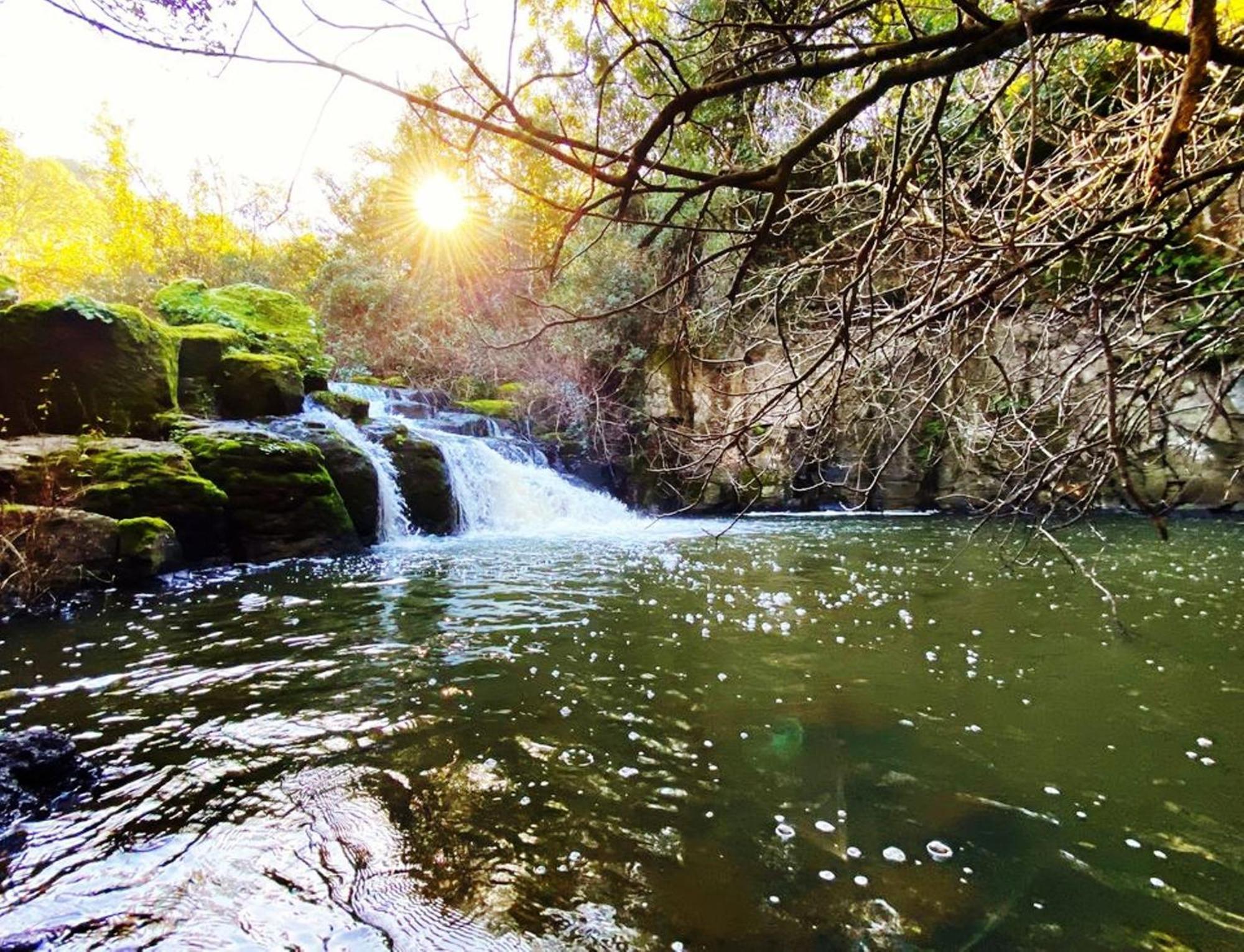 Nuraghe Ruiu Camping & Bungalow Norbello Buitenkant foto